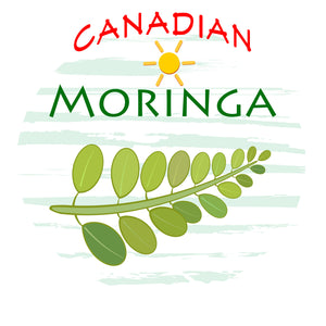 moringa leaf canadian moringa