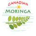 moringa leaf canadian moringa